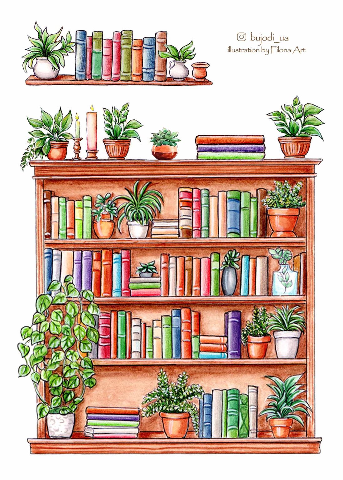 Стікерпак «Книжкова шафа»